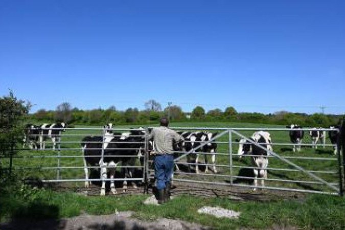  (crédito: Paul Ellis/AFP)