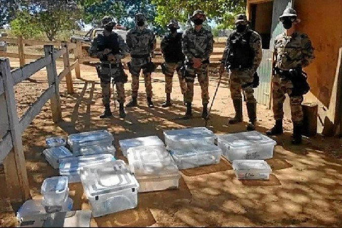 Além da apreensão da naja, Polícia Ambiental capturou mais 16 cobras, em Planaltina. A suspeita é que elas foram adquiridas em rede de tráfico 