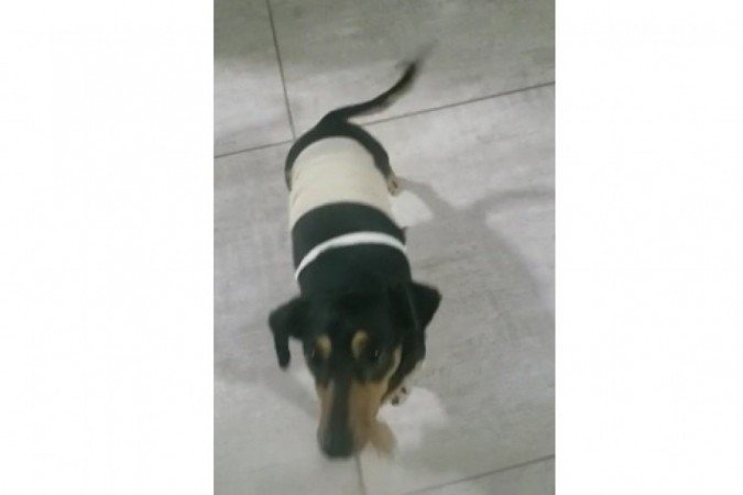 Otto sofreu ferimentos no abdômen