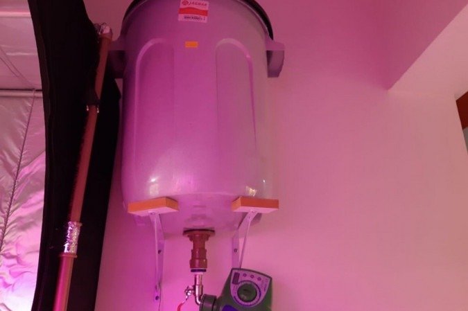 Polícia Civil fecha laboratório de cultivo de maconha no Núcleo Bandeirante