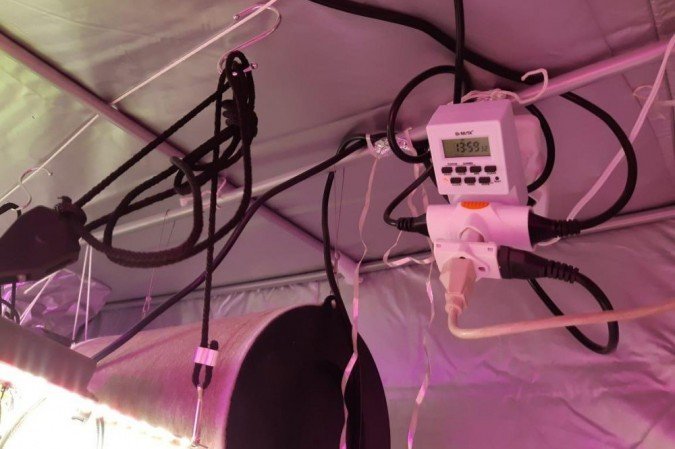 Polícia Civil fecha laboratório de cultivo de maconha no Núcleo Bandeirante