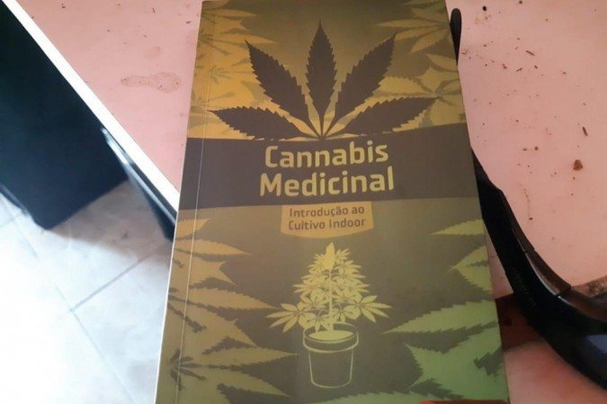 Polícia Civil fecha laboratório de cultivo de maconha no Núcleo Bandeirante