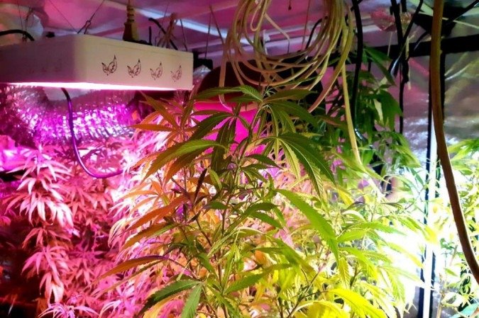  (crédito:  Divulgação/PCDF)