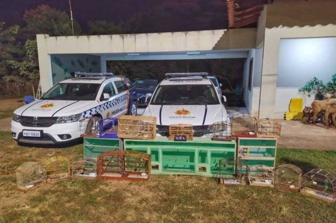  (crédito: PMDF/Divulgação)