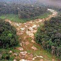 Área desmatada na Amazônia brasileira: autores defendem uma gestão do uso da terra que considere a saúde global -  (crédito: Antonio Scorza/AFP)