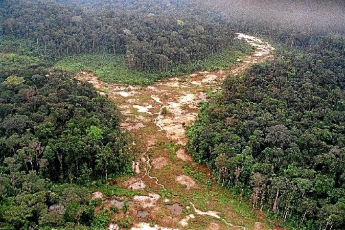 Área desmatada na Amazônia brasileira: autores defendem uma gestão do uso da terra que considere a saúde global -  (crédito: Antonio Scorza/AFP)