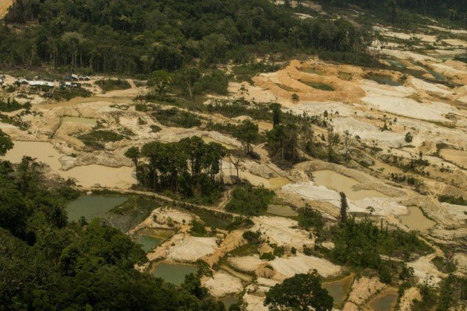 (foto: Divulgação/Greenpeace) (foto: Divulgação/Greenpeace)
