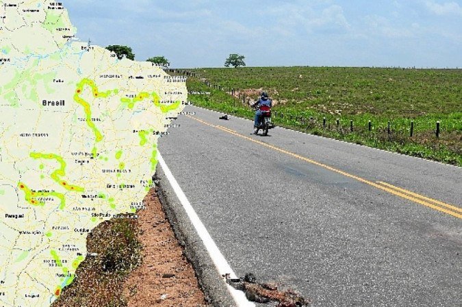  (foto: Alex Bager/CBEE)