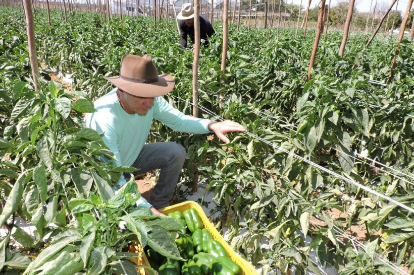 Como funciona o CLUBE AGRO BRASIL?