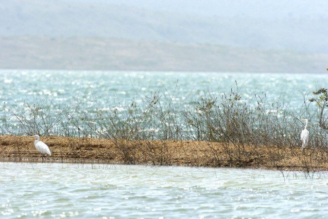 Barragem de Santa Maria está localizada dentro do Parque Nacional de Brasília e faz parte das bacias do Paraná, Paranaíba e Corumbá. Essa barragem possui um espelho d’água de 7,65km² e uma área de drenagem de 101km² - (crédito: Ronaldo de Oliveira/CB/D.A Press) Barragem de Santa Maria está localizada dentro do Parque Nacional de Brasília e faz parte das bacias do Paraná, Paranaíba e Corumbá. Essa barragem possui um espelho d’água de 7,65km² e uma área de drenagem de 101km² - (crédito: Ronaldo de Oliveira/CB/D.A Press)