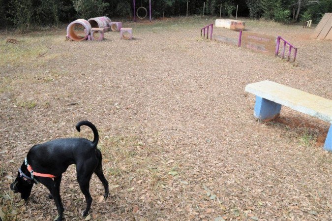 No Parque da Cidade, o Parcão também tem ambiente cercado e é destinado aos pets - (foto: Foto: Lúcio Bernardo Jr. / Agência Brasília) No Parque da Cidade, o Parcão também tem ambiente cercado e é destinado aos pets - (foto: Foto: Lúcio Bernardo Jr. / Agência Brasília)
