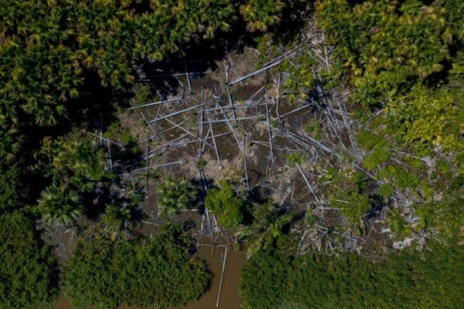 Vista aérea de uma parte da Floresta Amazônica devastada. Amazônia