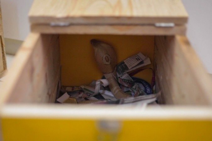 Naja: Serpentes passam por exames clínicos no Museu Biológico do Instituto Butantan, em São Paulo 