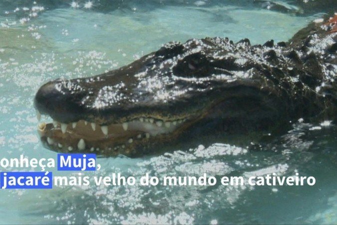  (crédito: Sally MAIRS / AFPTV / AFP)