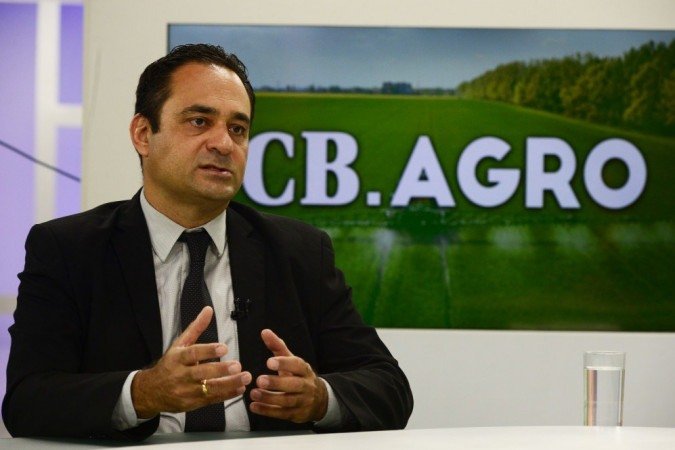 (foto: Marcelo Ferreira/CB/D.A Press ) (foto: Marcelo Ferreira/CB/D.A Press )