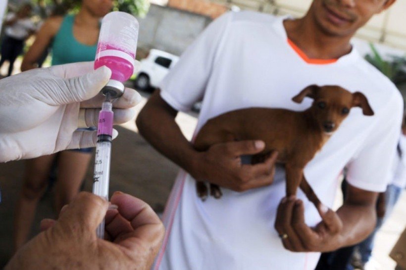 Parque da Cidade terá drive-thru de vacinação para cães e gatos no sábado