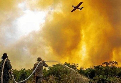(foto: PrevFogo/Ibama e Polícia Militar Ambiental) (foto: PrevFogo/Ibama e Polícia Militar Ambiental)