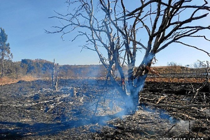 (foto: Divulgação Corpo de Bombeiros / DF) (foto: Divulgação Corpo de Bombeiros / DF)