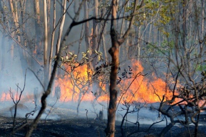Incêndio atingiu o Parque Nacional de Brasília em 2010 - (foto: Iano Andrade/CB/D.A Press) Incêndio atingiu o Parque Nacional de Brasília em 2010 - (foto: Iano Andrade/CB/D.A Press)