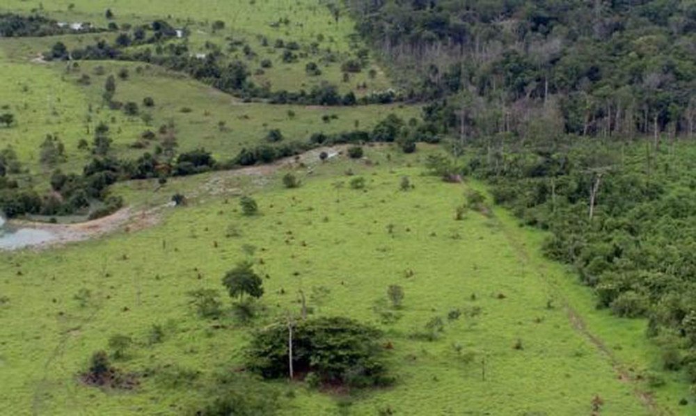 Bradesco, Itaú Unibanco e Santander criam o conselho consultivo da Amazônia