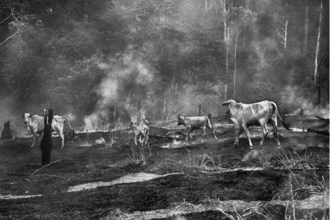 Araquém Alcântara, 50 anos