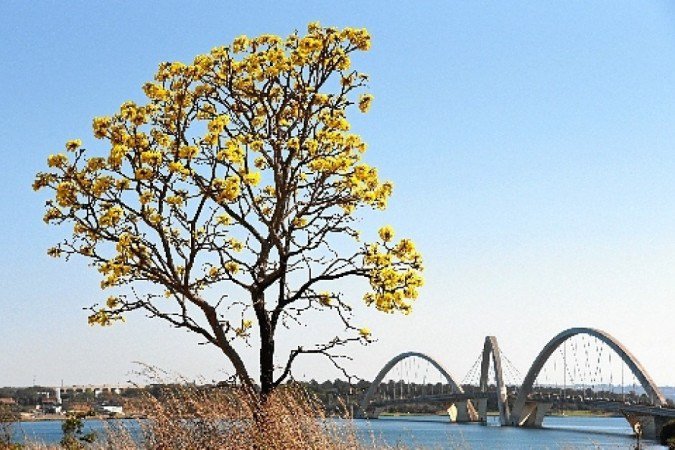  (crédito: Ed Alves/CB/D.A Press)