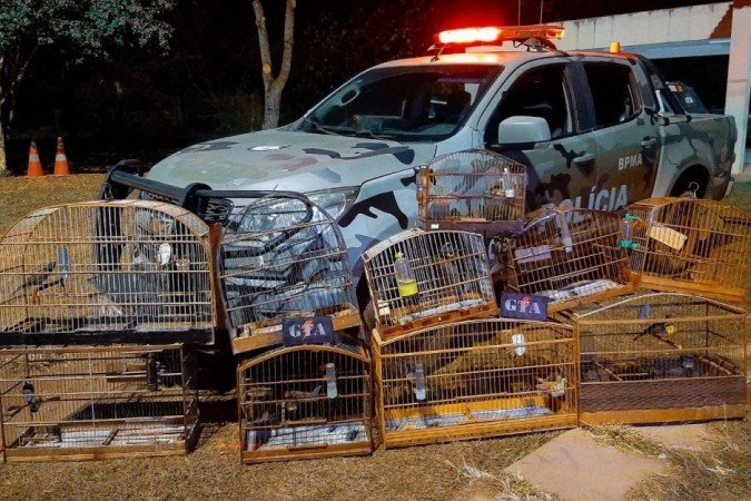  (crédito: PMDF/Divulgação)