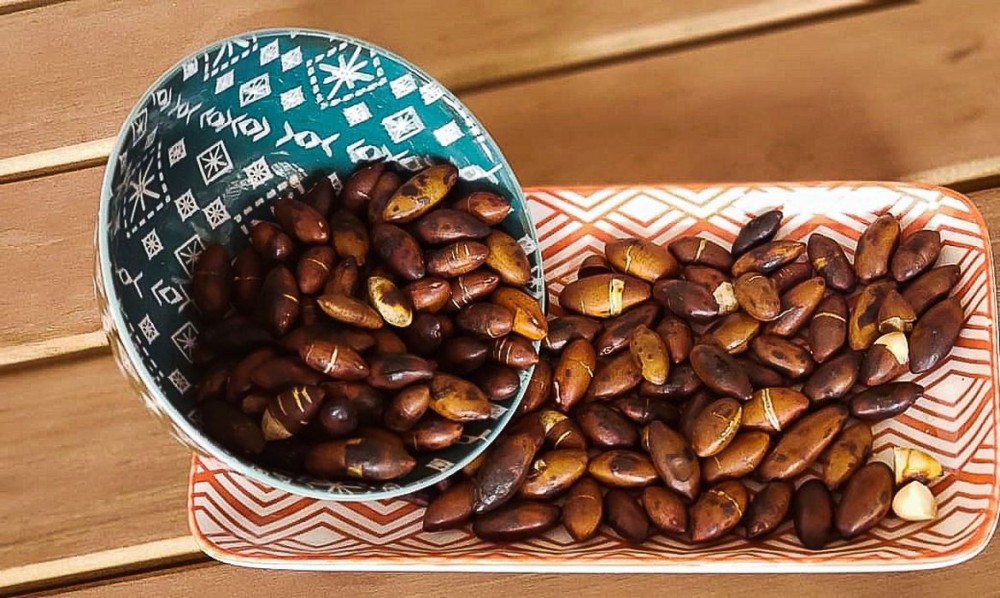 Castanha do cerrado pouco conhecida, o baru é rico em nutrientes 