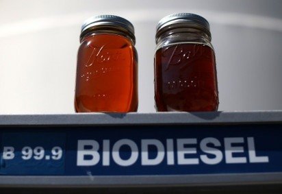 Corte fixou que o cancelamento do registro de empresas produtoras ou importadoras de biodiesel só poderá ocorrer em casos graves e mediante direito de defesa do contribuinte -  (crédito: JUSTIN SULLIVAN/AFP) -Corte fixou que o cancelamento do registro de empresas produtoras ou importadoras de biodiesel só poderá ocorrer em casos graves e mediante direito de defesa do contribuinte -  (crédito: JUSTIN SULLIVAN/AFP)