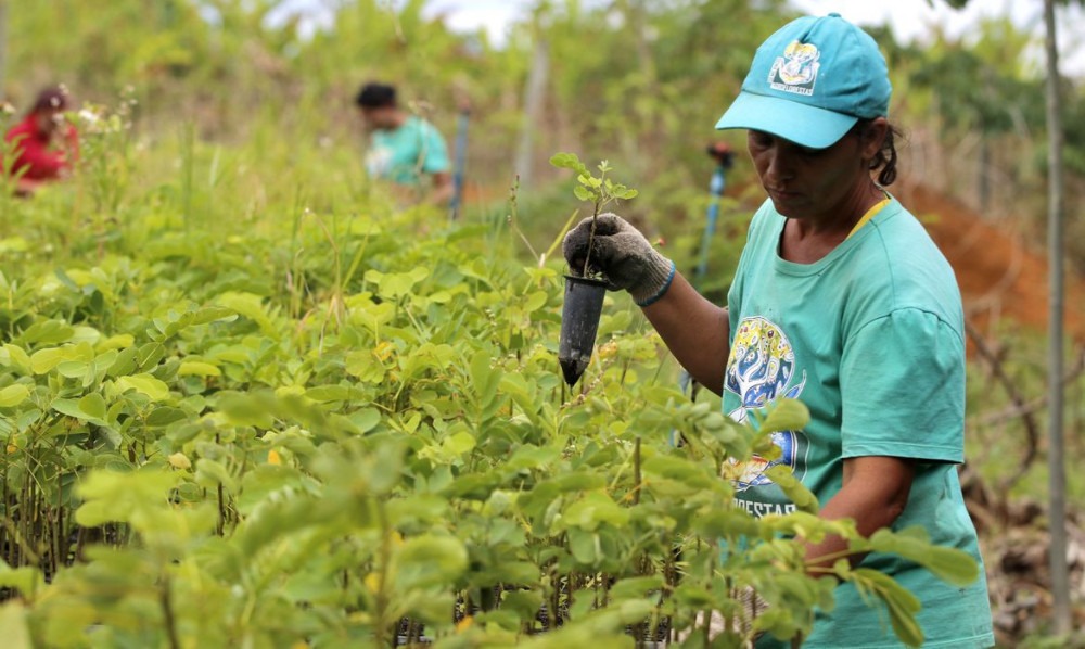 Tragédia em Mariana: Renova anuncia R$ 8 bi para atingidos