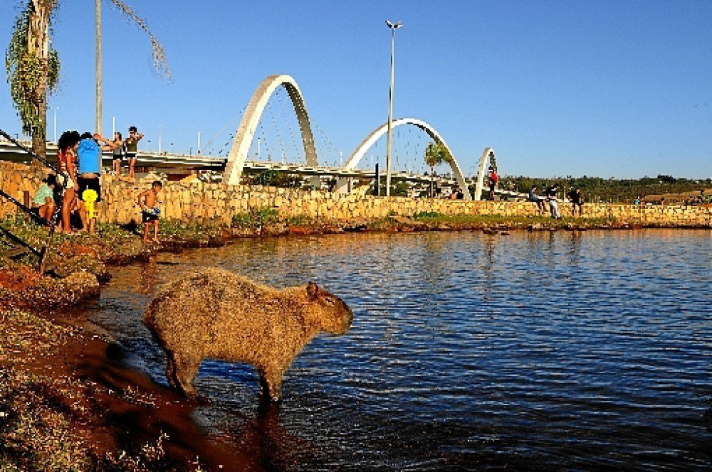 A umidade relativa do ar em Brasília caiu a 10% ontem: tempo quente serviu para muita gente se refrescar e praticar esportes no Lago Paranoá 