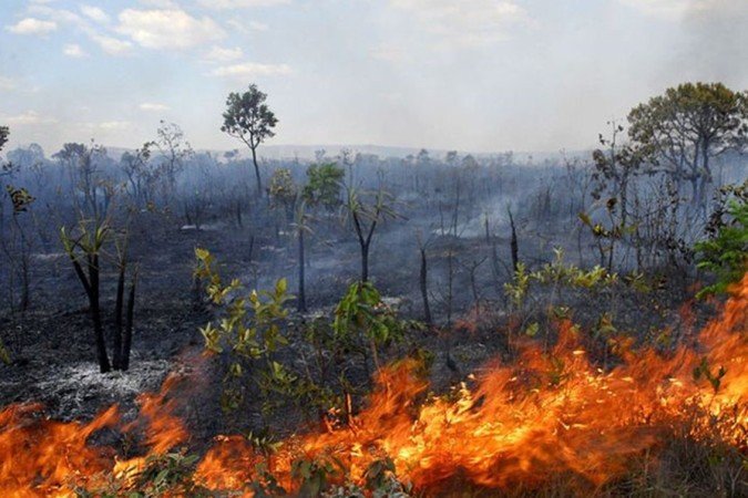 Por que o PL da Devastação fere a Ecologia Integral e agrava a crise do clima?