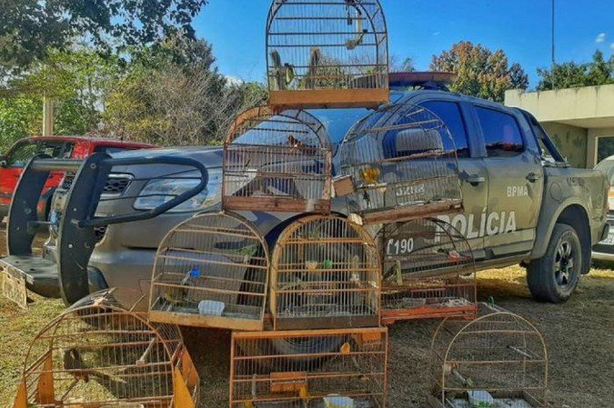 (foto: Polícia Militar CCS/ Divulgação) (foto: Polícia Militar CCS/ Divulgação)