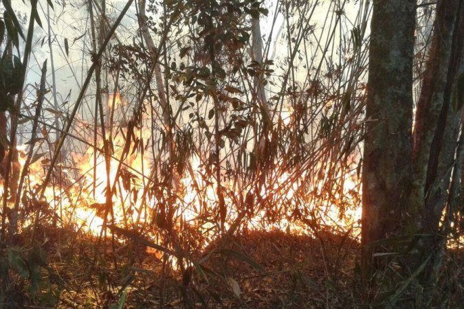 (foto: Divulgação/Parnaso/Todos Direitos Reservados) (foto: Divulgação/Parnaso/Todos Direitos Reservados)