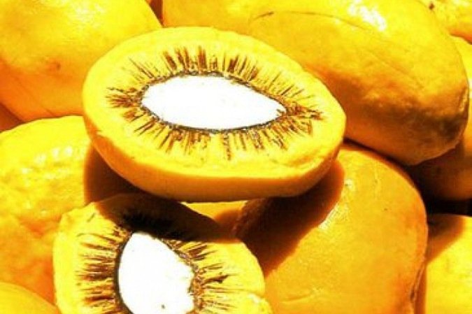 O pequi é um fruto do Cerrado bastante usado na gastronomia regional.