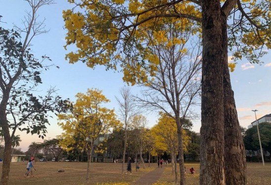 Ana Clara Avendaño/Esp. CB/D.A Press