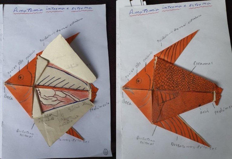 Por meio dos origâmis, os estudantes conseguem colocar a mão na massa e realmente aprender fazendo 