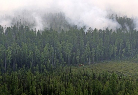 Russian Federal Agency of Forestry via AFP
