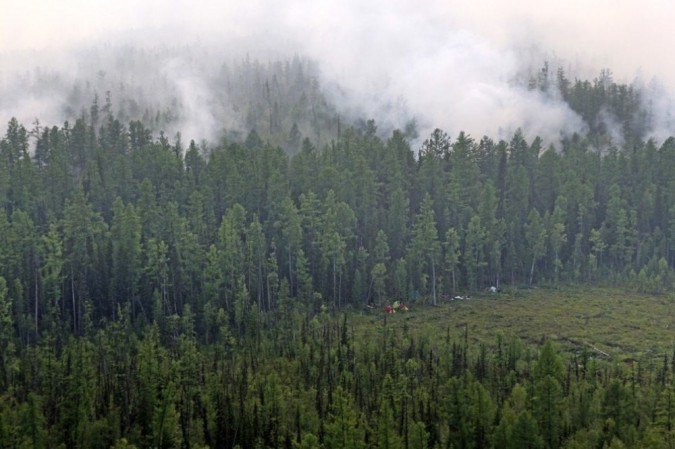 (foto: Russian Federal Agency of Forestry via AFP) (foto: Russian Federal Agency of Forestry via AFP)