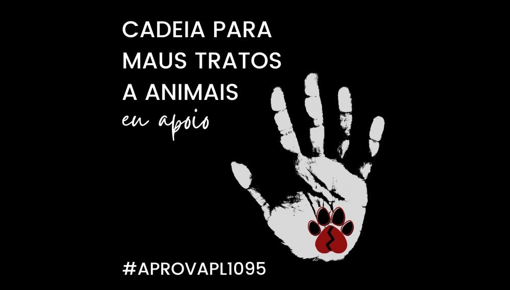 Em ato, protetores vão pedir prisão para quem  maltrata animais