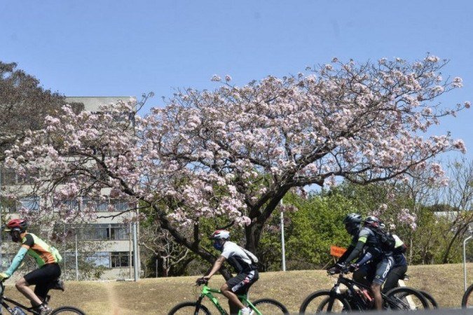 Brasilienses curtem o 7 de setembro no Eixão Norte
