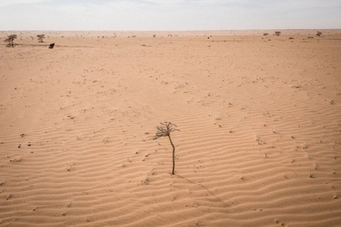 (foto: AFP / JOHN WESSELS) (foto: AFP / JOHN WESSELS)