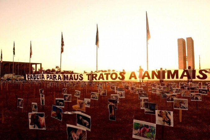 Fotos de animais vítimas de maus tratos tomam o gramado em frente ao Congresso Nacional