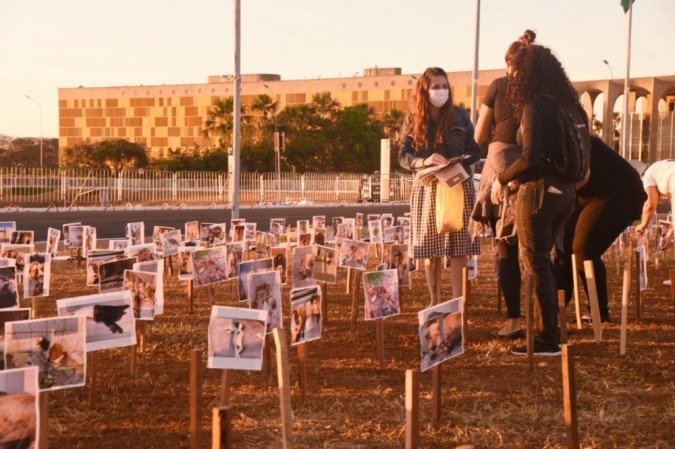 Fotos de animais vítimas de maus tratos tomam o gramado em frente ao Congresso Nacional