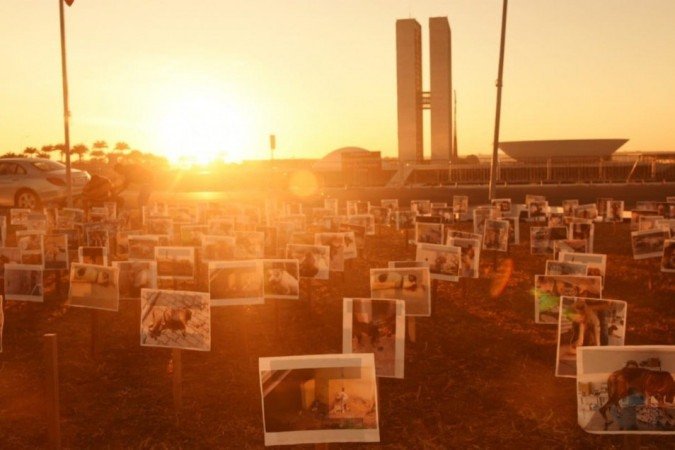 O PL 1.095/2019 está previsto para ser votada no Senado, nesta terça-feira - (foto: ED ALVES/CB/D.A Press) O PL 1.095/2019 está previsto para ser votada no Senado, nesta terça-feira - (foto: ED ALVES/CB/D.A Press)