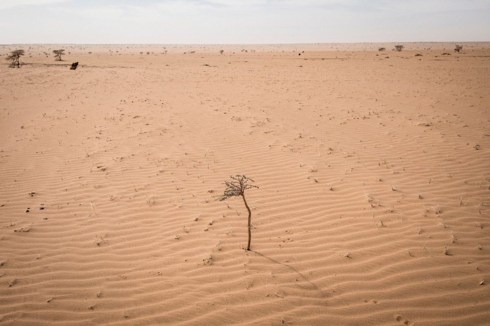 OIM: 83 migrantes são resgatados em deserto no norte do Níger, perto da Líbia