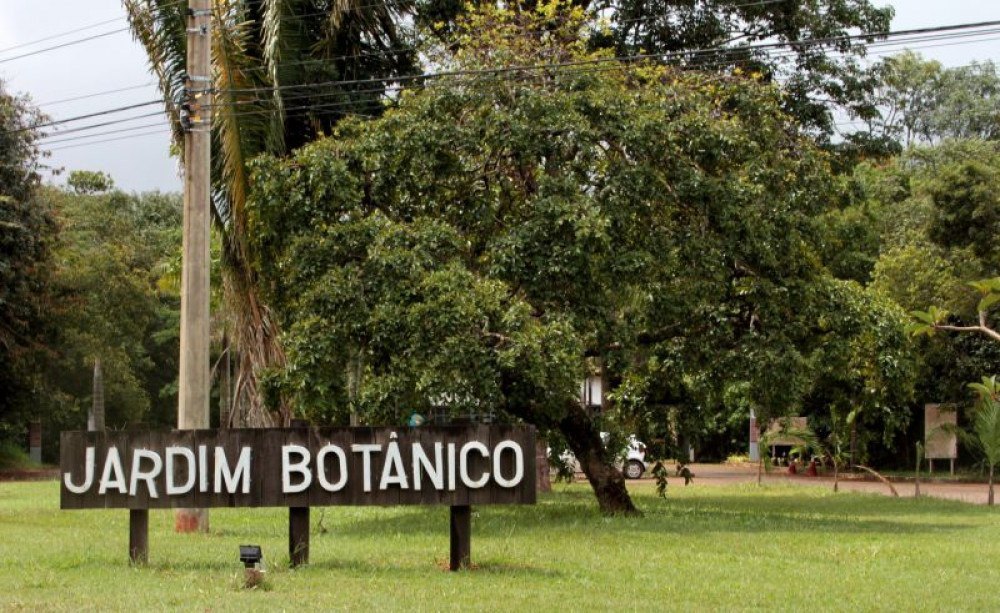 Jardim Botânico de Brasília se prepara para comemorar 37 anos
