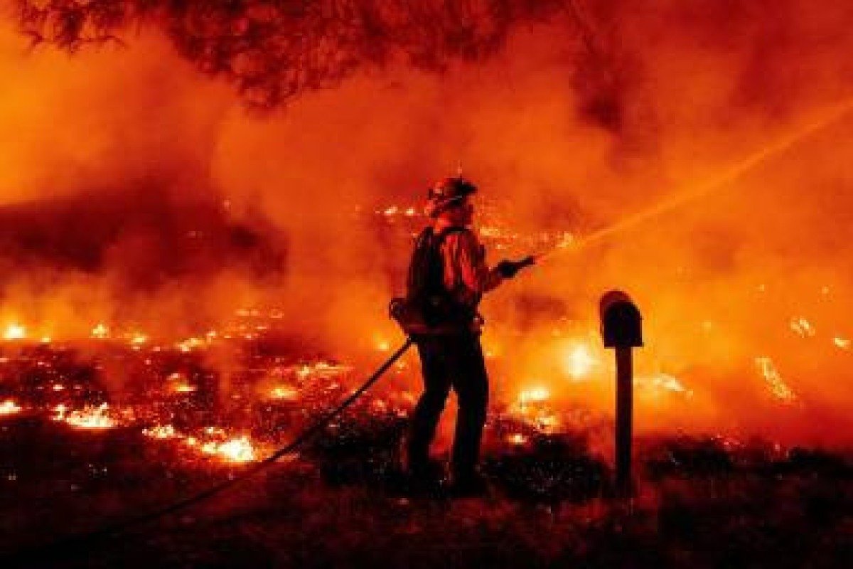 Intelig&ecirc;ncia artificial ajuda a prever inc&ecirc;ndios florestais