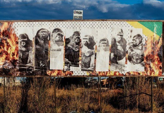 Jacqueline Lisboa/Divulgação