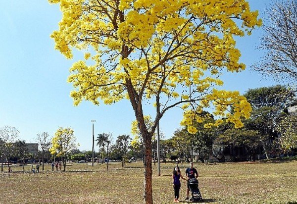 ED ALVES/CB/D.A Press - 4/8/20